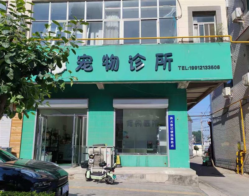 宠悦宠物诊所的图标